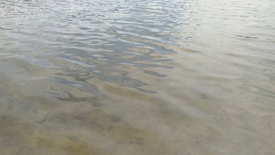 На Житомирщині розпочався купальний сезон – не всі водойми області придатні для купання На Житомирщині розпочався купальний сезон – не всі водойми області придатні для купання