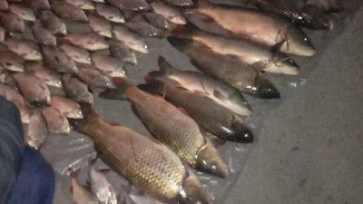 З початку нерестової заборони поліцейські на Дніпропетровщині викрили 10 браконьєрів