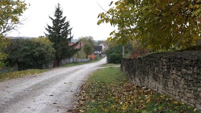 Дорога у селі Долиняни на Буковині