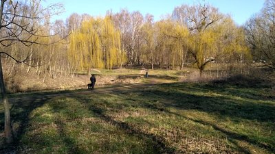Як у Луцьку дотримуються нових правил карантину Як у Луцьку дотримуються нових правил карантину