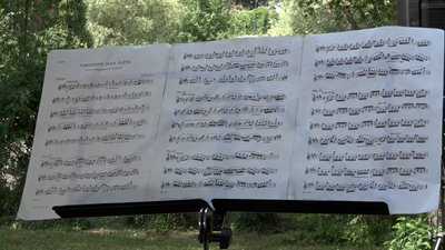 "Музика Шопена просто неба" – на Житомирщині проходить міжнародний фестиваль класичної музики "Музика Шопена просто неба" – на Житомирщині проходить міжнародний фестиваль класичної музики