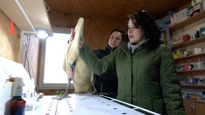 "Прикипіли душею": жінки доглядали за лебідкою "Прикипіли душею": жінки доглядали за лебідкою