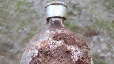 На Житомирщині знайшли останки солдата, який загинув у бою у 1941 році На Житомирщині знайшли останки солдата, який загинув у бою у 1941 році