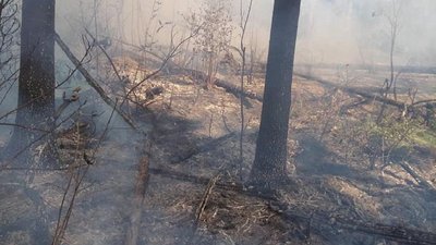 На Івано-Франківщині рятувальники гасять лісові пожежі На Івано-Франківщині рятувальники гасять лісові пожежі