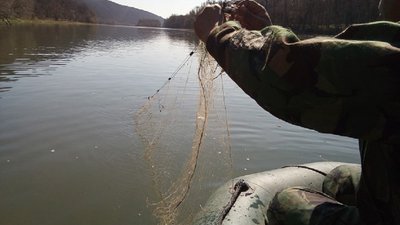 Стоп браконьєрство: на Житомирщині врятували трофейні екземпляри риб
