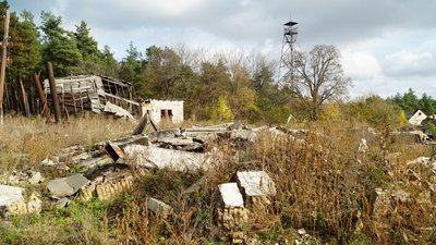 Цілять касетними боєприпасами й ракетами: лісництво на Дніпропетровщині понад півтора року обстрілює армія РФ