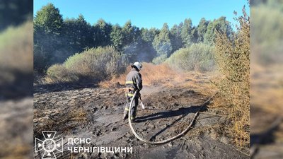 Для ліквідації пожежі торфовищ на Чернігівщині залучили 76 вогнеборців