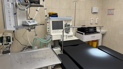 Трансплантація органів від посмертних донорів: як працює система