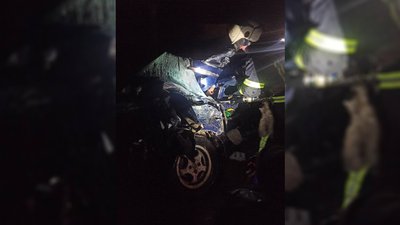 На Чернігівщині легковик в'їхав у дерево. Водій помер на місці
