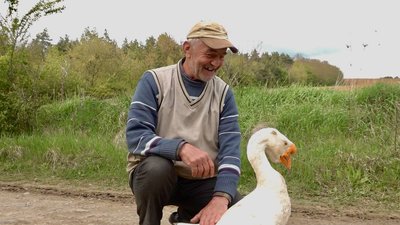 Володимир Опацький і його Гусь Володимир Опацький і його Гусь