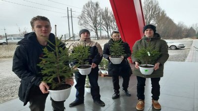 Учасники "Екомарафану 2.0" в Тернополі купували до Новоріччя ялинки в горщиках
