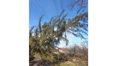 "Масштаби пошкоджень серйозні". Енергетики продовжують ліквідовувати наслідки негоди на Івано-Франківщині "Масштаби пошкоджень серйозні". Енергетики продовжують ліквідовувати наслідки негоди на Івано-Франківщині