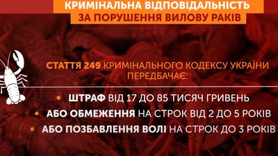 Графіка: Кримінальна відповідальність за порушення правил вилову раків Графіка: Кримінальна відповідальність за порушення правил вилову раків