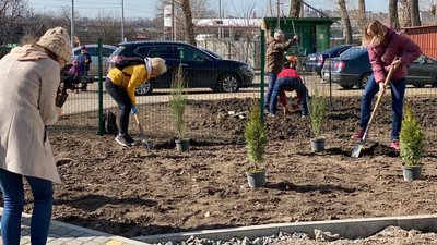 Вінниччина долучилася до міжнародної екологічної акції з озеленення планети Вінниччина долучилася до міжнародної екологічної акції з озеленення планети
