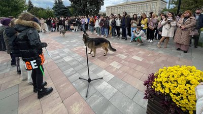 Ментальне здоров'я Ментальне здоров'я