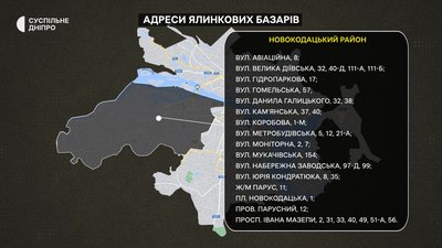 У Дніпрі стартував продаж ялинок: ціни та де можна прибдати У Дніпрі стартував продаж ялинок: ціни та де можна прибдати