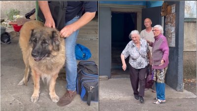 Жителі Дружківки та собака Джанга під час підготовки до евакуації з міста