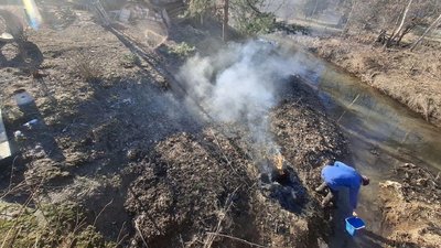Палій, сухостій, ДСНС, Франківщина