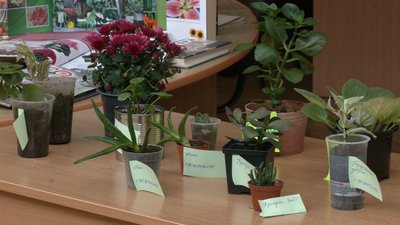 У Рівному організували "Квітковий обмін" У Рівному організували "Квітковий обмін"