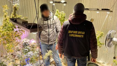 коноплі коноплі
