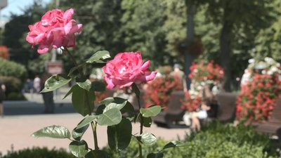 Перейменування вулиць у Черкасах Перейменування вулиць у Черкасах