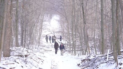 На Черкащині обліковують та підгодовують диких тварин