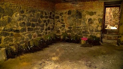 Подяка квітами. У Кропивницький передали пів тисячі кущів троянд з розплідника на Донеччині Подяка квітами. У Кропивницький передали пів тисячі кущів троянд з розплідника на Донеччині