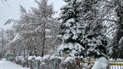 Прогноз погоди на Тернопільщині на 13-14 січня