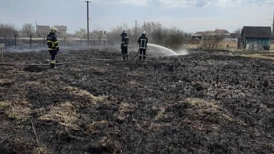 24 пожежі сухої трави за добу зафіксували на Львівщині 24 пожежі сухої трави за добу зафіксували на Львівщині