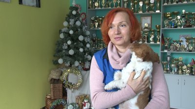 Черкаські кінологи хочуть створити центр реабілітації Черкаські кінологи хочуть створити центр реабілітації
