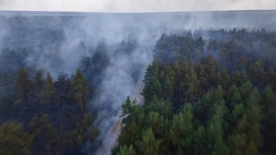 На Миколаївщині горить хвойний ліс На Миколаївщині горить хвойний ліс
