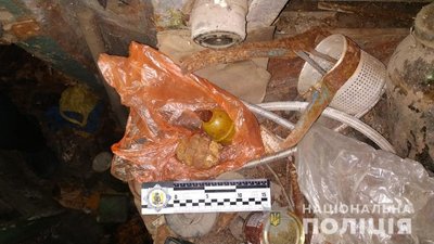Вибух гранати у приватному подвір’ї: поліцейські Харківщини викрили підривника Вибух гранати у приватному подвір’ї: поліцейські Харківщини викрили підривника