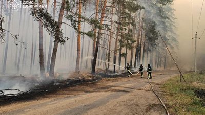 Лиманський ліс, Донецька область, пожежа, 25 травня 2024 рік
