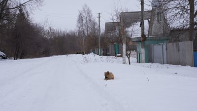 Новоіванівка Новоіванівка
