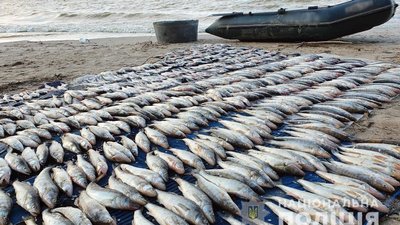 На Полтавщині чоловік наловив риби на 200 тисяч гривень