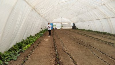 "Якщо землю любиш, то буде все". На Миколаївщині реалізують міжнародний агропроєкт