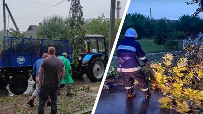 У Світловодській громаді на Кіровоградщині вітер повалив дерева та обірвав дроти