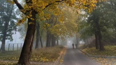 Тернопіль, туман, погода