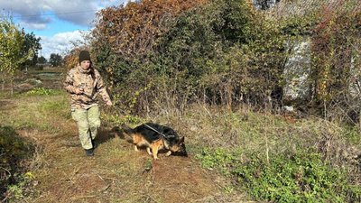 Вбивство чоловіка у Миргороді: знайшли ймовірного вбивцю Вбивство чоловіка у Миргороді: знайшли ймовірного вбивцю