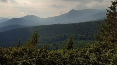 Національний парк "Верховинський" отримає додаткові землі