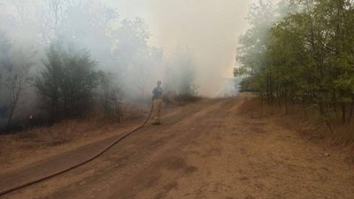 пожежа, ліс, Крим, заборона відвідування лісу, МНС, пожежна небезпека