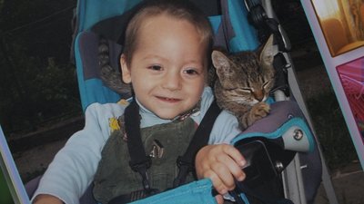 Продовжують створювати лялькові будиночки у пам'ять про сина. Подружжя Татарових з Прикарпаття Продовжують створювати лялькові будиночки у пам'ять про сина. Подружжя Татарових з Прикарпаття