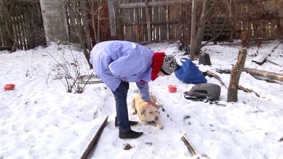 50 котів і дев'ять собак – на Житомирщині жінка облаштувала вдома імпровізований притулок для тварин 50 котів і дев'ять собак – на Житомирщині жінка облаштувала вдома імпровізований притулок для тварин