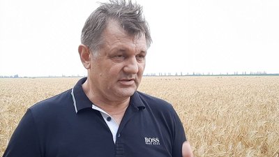370 людей очікують на розпаювання земель “Племрепродуктора "Степове", що на Миколаївщині 370 людей очікують на розпаювання земель “Племрепродуктора "Степове", що на Миколаївщині