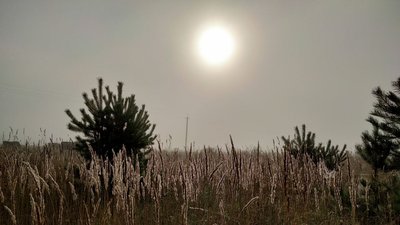 Яку погоду прогнозують на 12-14 вересня