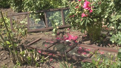 На фото вибиті вікна на квітнику приватного будинку. На фото вибиті вікна на квітнику приватного будинку.