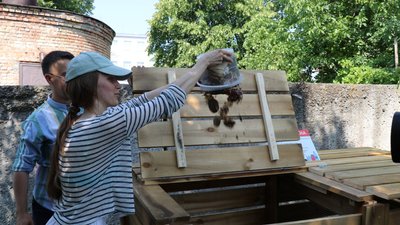 У Луцьку облаштували міський город У Луцьку облаштували міський город