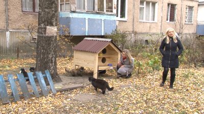 У Черкасах з'явилися двоповерхові хатинки для безпритульних котів У Черкасах з'явилися двоповерхові хатинки для безпритульних котів