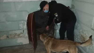 У Харкові втретє з кінця жовтня шукають вибухівку в апеляційному адмінсуді У Харкові втретє з кінця жовтня шукають вибухівку в апеляційному адмінсуді