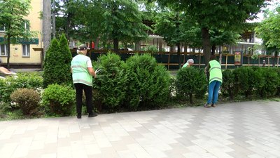 На вулицях та у скверах Житомира розпочали літню обрізку декоративних дерев та кущів На вулицях та у скверах Житомира розпочали літню обрізку декоративних дерев та кущів